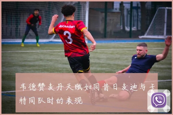韦德赞麦丹天赋如同昔日麦迪与卡特同队时的表现