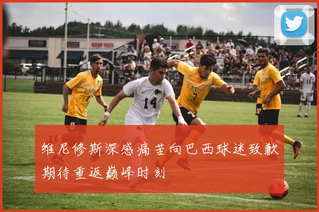 维尼修斯深感痛苦向巴西球迷致歉期待重返巅峰时刻